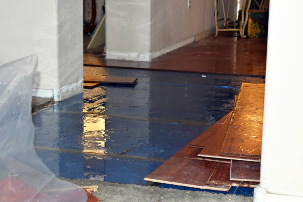 Professional Sewage Cleanup technician working in Winn, MI